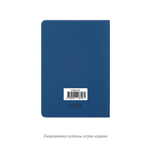 Ежедневник Спарк мини (Spark mini) A6 недатированный