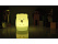 Ночник LED «Bear»