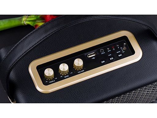 Портативная акустика «Mysound Drive»