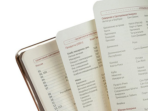 Ежедневник недатированный А5 "CHELSEA"