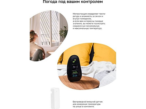 Метеостанция «StoneCast 1 WTS»