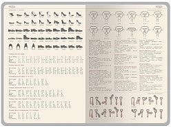 Ежедневник недатированный А5 "Bosforo"
