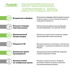 Беспроводная колонка Пэшн (Passion) 80dB 600 mAh (Bluetooth 5.4)